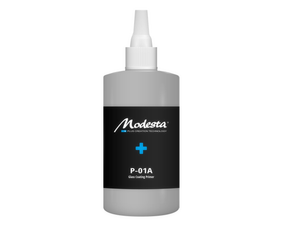 Modesta P-01A